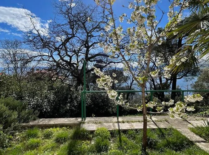 Appartement Kamov *